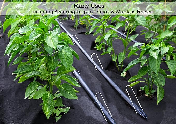 Sandbaggy Galvanized 6-Inch Landscape Staples ~ 9 Gauge Steel - Fabric Pins, Garden Earth Stakes, Ground Cover, Fence Anchors, Lawn Nails ~ Trusted by Organic Farmers Across The USA (10,000 Staples)