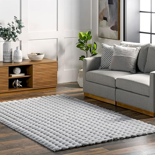 nuLOOM 5' x 8' Cozy Plush Area Rug, Machine Washable, Non-Slip, Soft Fluffy Shag Carpet for Living Room Bedroom Kids Room Nursery Home Decor, Jeni Silver