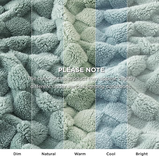 Bedsure GentleSoft Blankets Queen Size for Bed - Super Soft Cozy Blanket for Women Men Girls, Large Fuzzy Fleece Throw for Bedroom Decor, Sage Green, 90x90 Inches