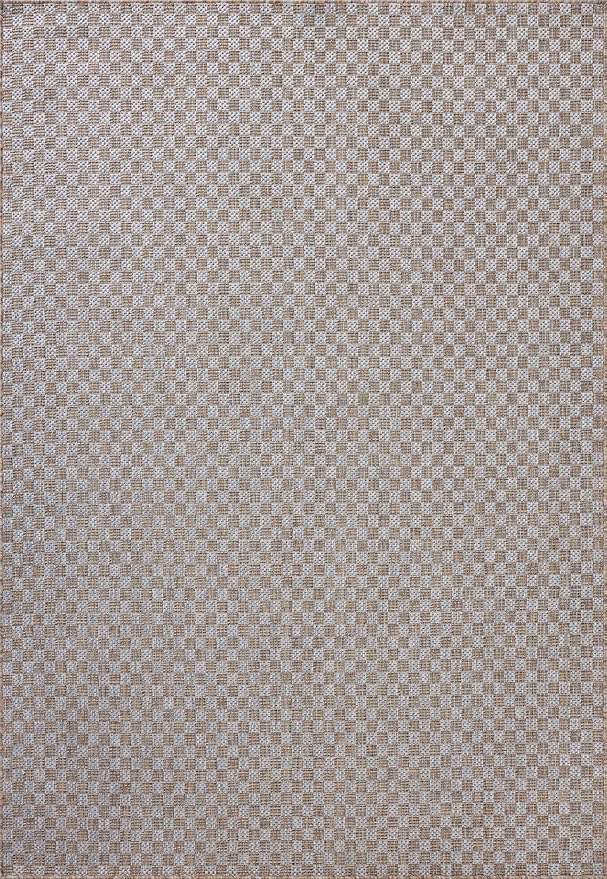 Loloi Amber Lewis Topanga Collection TOP-02 Natural/Silver 2'-3" x 3'-9" Indoor/Outdoor Area Rug